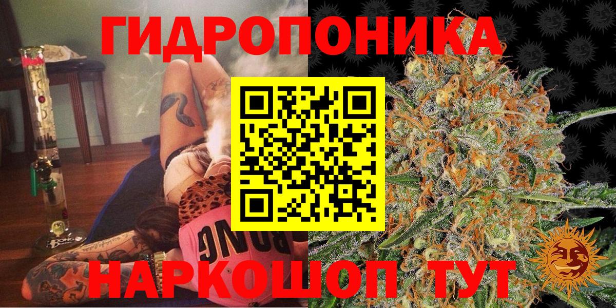 Шишки марихуана семена Куйбышев